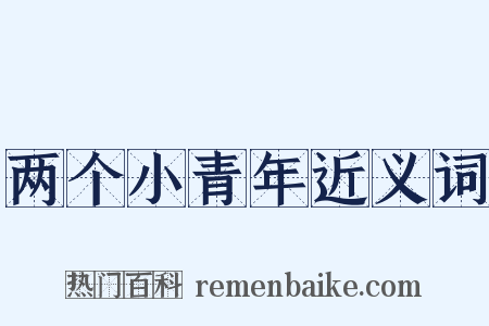 两个小青年近义词是什么意思的图片
